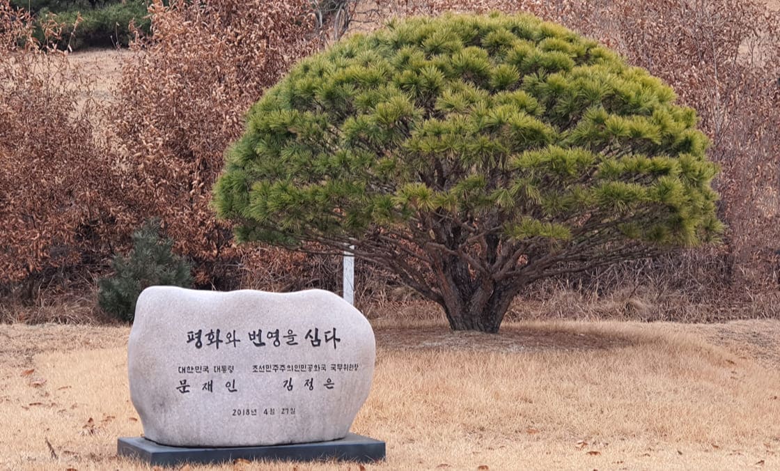 공동기념식수 장소