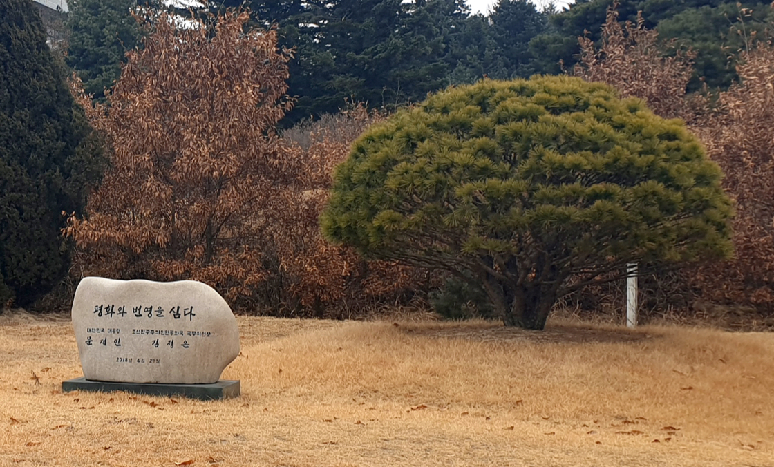 공동 기념 식수 장소 3
