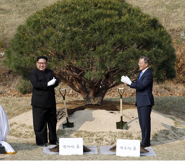 남북정상 기념식수(2018년 4월 27일)