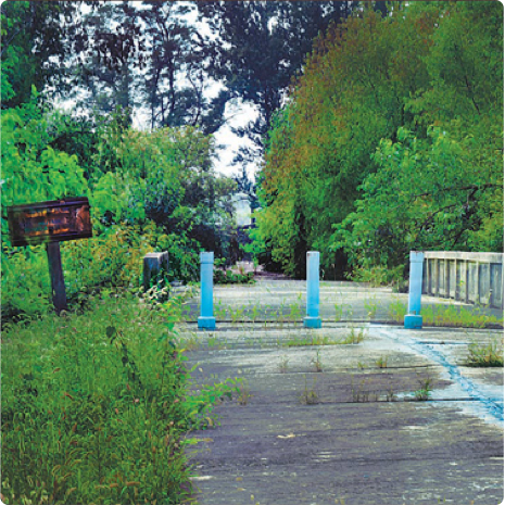 The Bridge of No Return